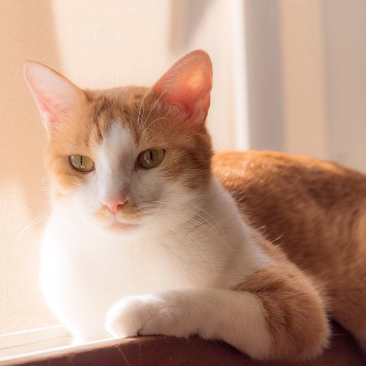 Fd6db213 d51f 43a0 bed6 c998727da5d4 1554744317640