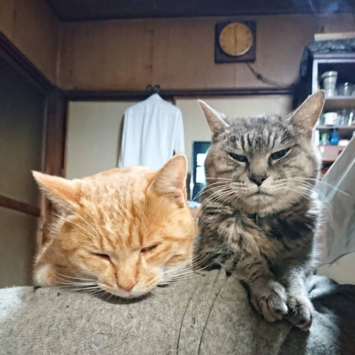 Fd6dbd96 d065 4e56 a10c 4b1eda16203e 1607545422587