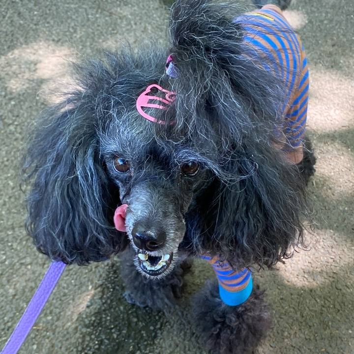 Fd6dc887 3af2 4611 bd35 76efe159d92d 1715750374013