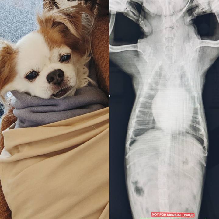 Fd6dd1e1 a0e9 425e 9502 5779c68d742f 1671155386531