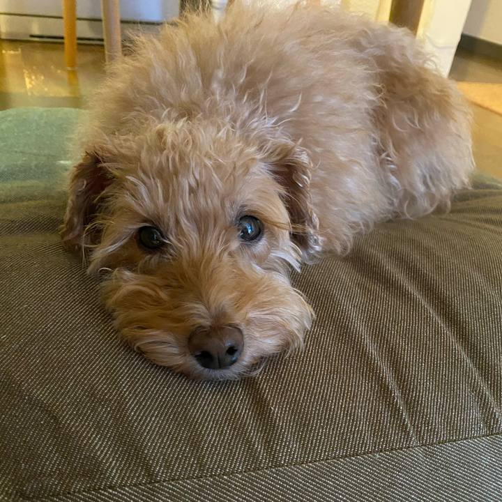 Fd6e3e13 b7a5 4b6f 922b 5374e65df70b 1701302432278