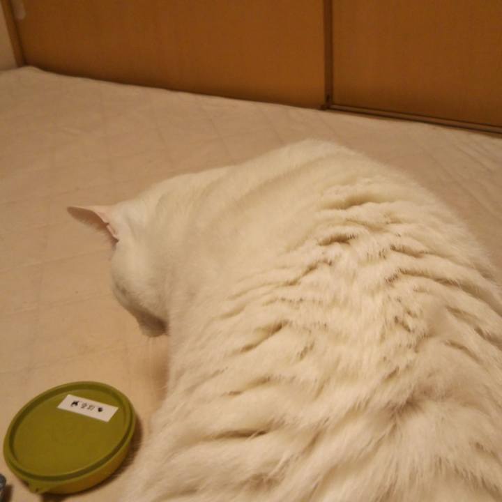 Fd6e86a1 a289 4cfe 8c9a c42f44743303 1544706164295