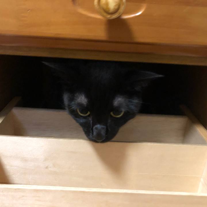 Fd6e877c c399 436c 90cf ad1c0a8b24c3 1600691017015