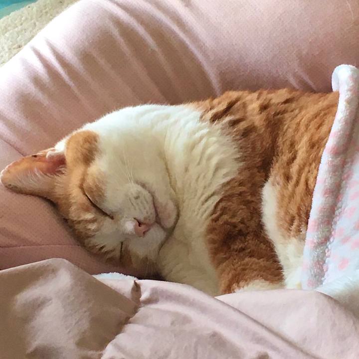 Fd6e8801 0955 4378 a9a1 1ea52fce49a6 1620802588440