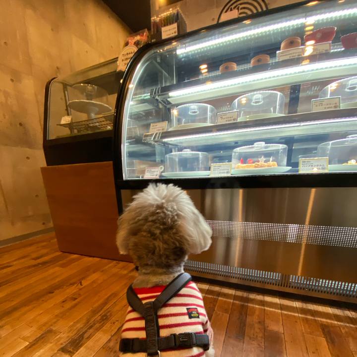 Fd6efb5c 3b38 4641 a18e dae0280fecdd 1644849264165