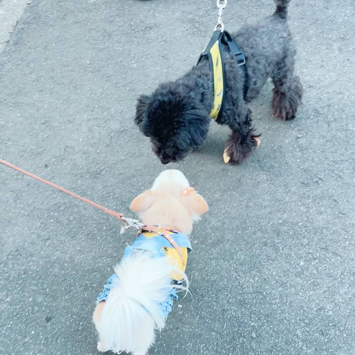 Fd6f003e 24d8 4df0 90f5 2de9c228a245 1704451151360