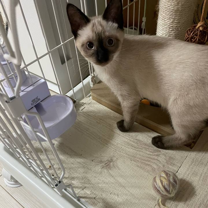 Fd6f2d79 b882 42e8 a2be ef19e258b6db 1691181233909