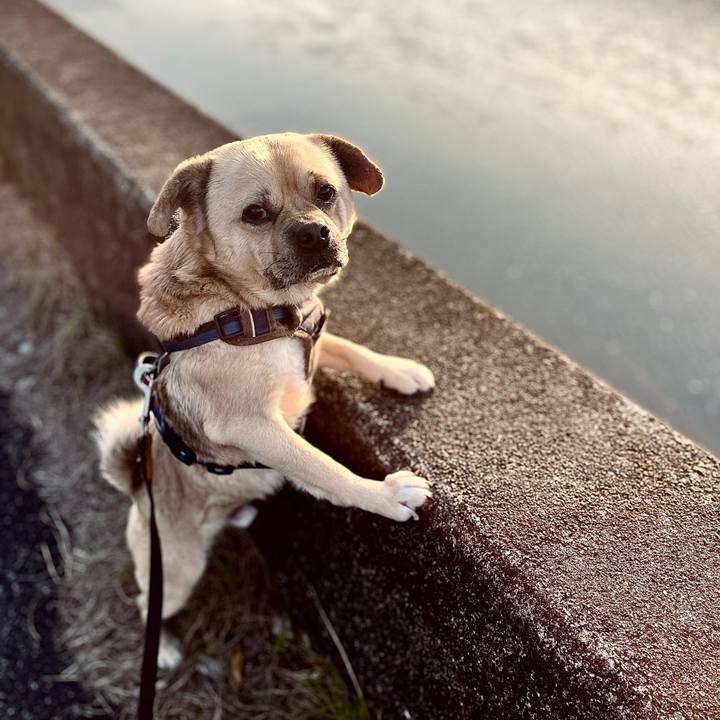 Fd6f4224 5f17 4848 9694 207b97213fb8 1772873812600