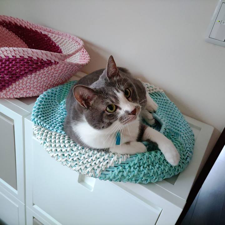 Fd6f473e ac35 44c9 a2ca 3ea02cc1975d 1654657939226