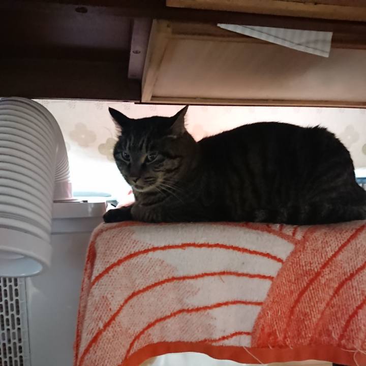 Fd6f6112 e7a0 4140 8190 80843c10f266 1638737398713