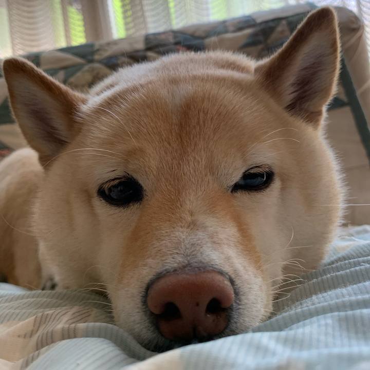 Fd6f9ed8 dd68 4335 9359 39608a1de634 1656639154148