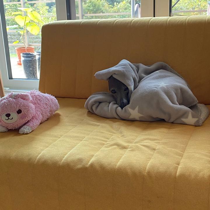 Fd6f9f14 8ca6 42c1 8fd0 d0100c94c0b4 1761866781784