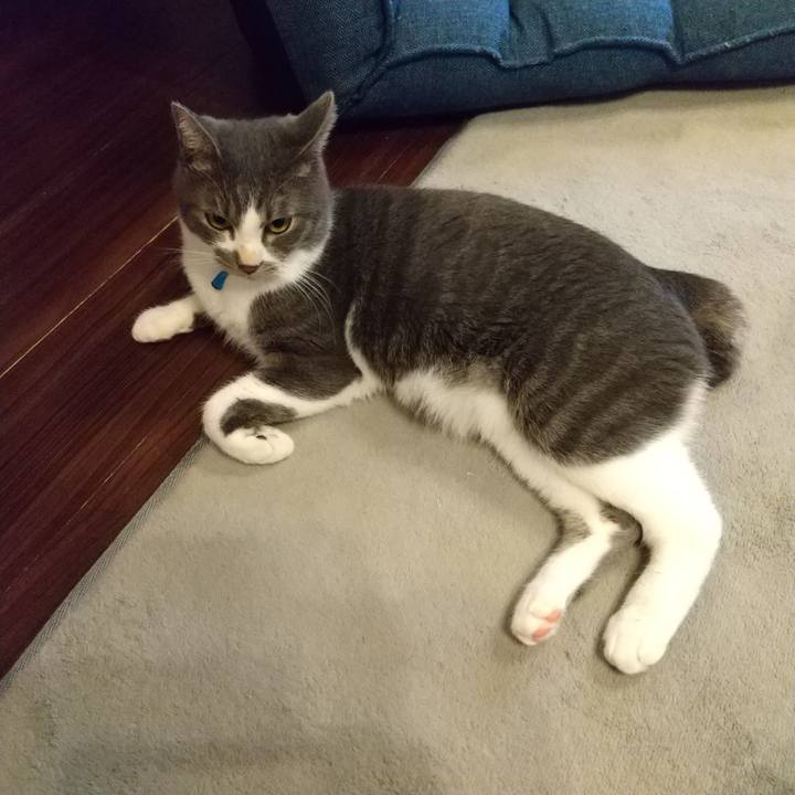 Fd6fadd3 5756 41a5 8a36 a08ca2c584e0 1603921479329