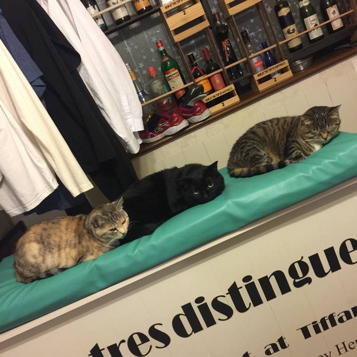 Fd6fe532 5402 410e 935c 4026dd932dc2 1560171025574