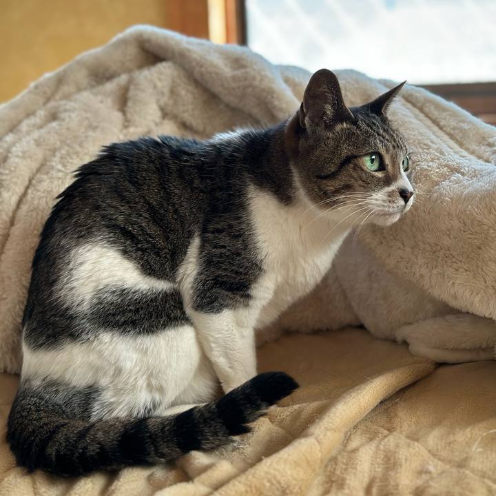 Fd6ff043 9d83 442c 9e7c bc6e435acfd5 1677116034056