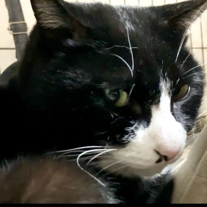 Fd701f70 b0b7 4bad bcf2 cd1b96af1cdb 1737029091262