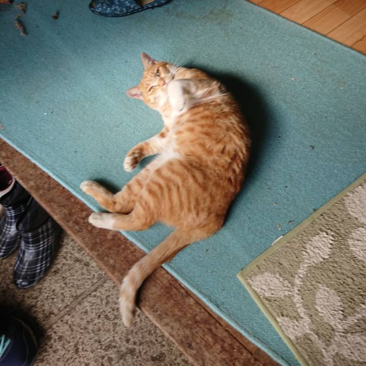 Fd702af8 171b 44d4 824a fc99091141be 1572847753510