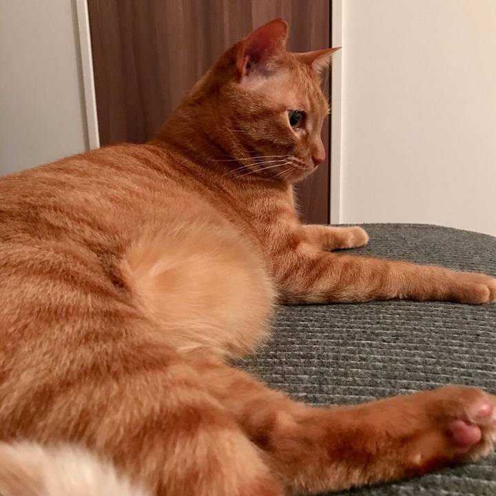 Fd704703 ba6f 4e8b 8144 797f8a3b39c4 1615022397462