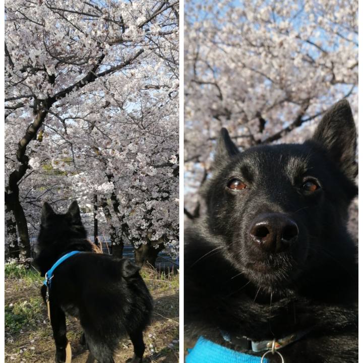 Fd7048e6 147a 4051 be70 584e7bc27ef5 1617142662747