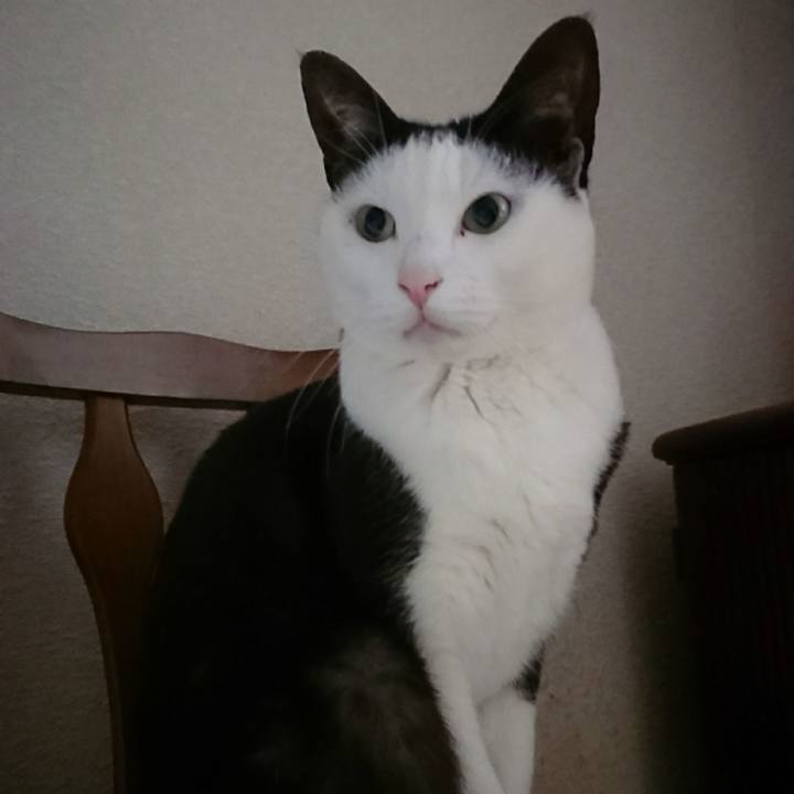 Fd705f90 f644 4c74 a3d2 063f197c03b2 1522245103988