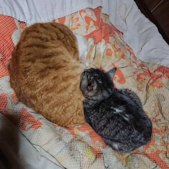 Fd70a7ec 1768 4963 95fa 5fbe822de720 1581082410187