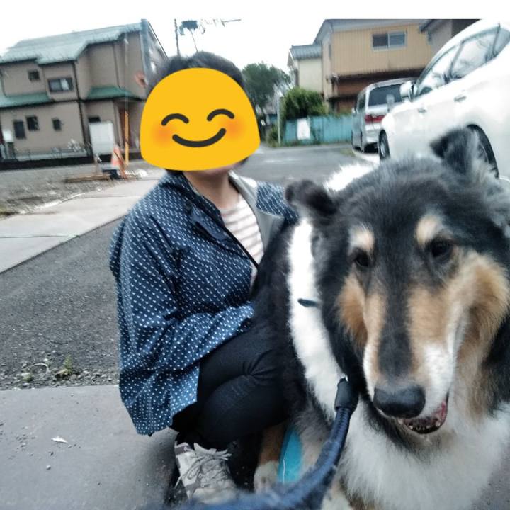 Fd70b1d3 dcfe 49c8 b7db 6c95b679e6da 1558447801455