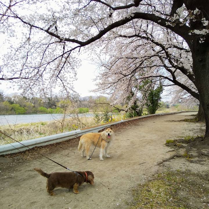 Fd70b454 7b6b 4eb8 b915 8e2de593e28d 1554608212638