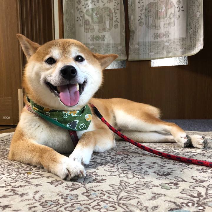 Fd70becb d30f 4edb a7b8 afd0802e9dd2 1531819542031