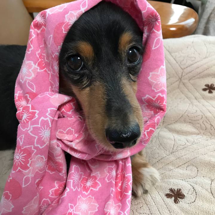 Fd71130d 2645 4c19 b6d8 63da638f5ee0 1511906763447