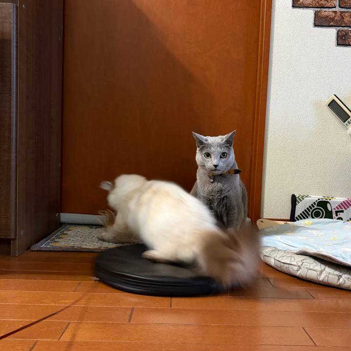 Fd7120ea a727 4fcf 9d27 646d6b776316 1772918114862