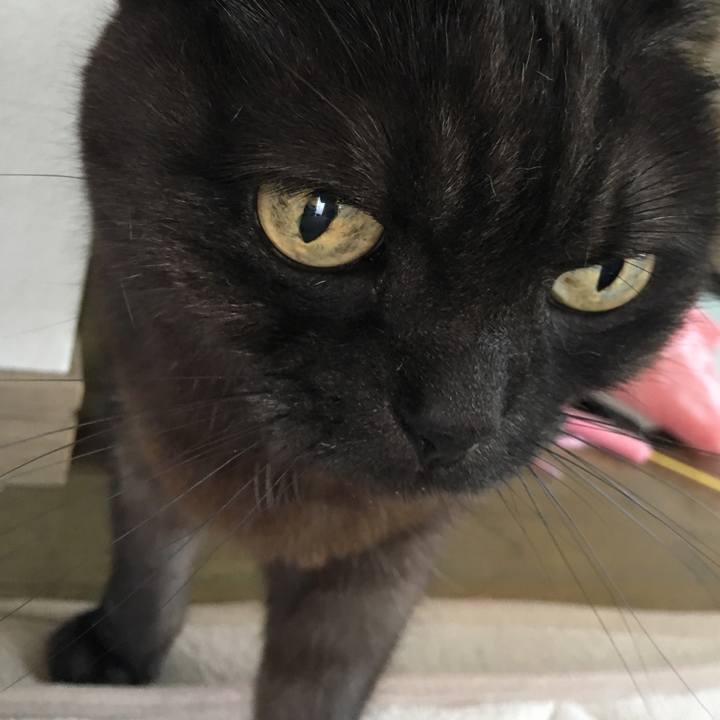 Fd71356a 9f85 40b1 9e71 43df60cda7a0 1524975430897