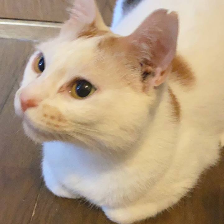 Fd716577 5fb1 48f4 a40f 74ff90cd2df7 1633160926440