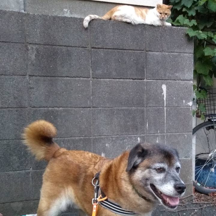 Fd71993a f407 4897 8440 b7cb2c548204 1565134540881