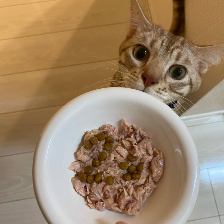 Fd719d82 9216 4076 8850 f8c27542d5bd 1641386597133