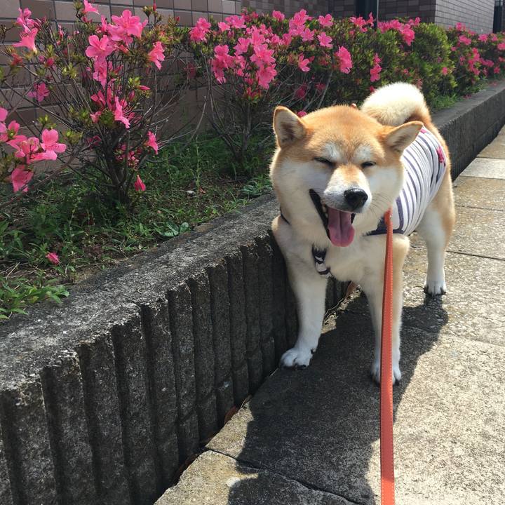 Fd71a0c2 b5c7 4395 a071 9bf35947553a 1559532745917