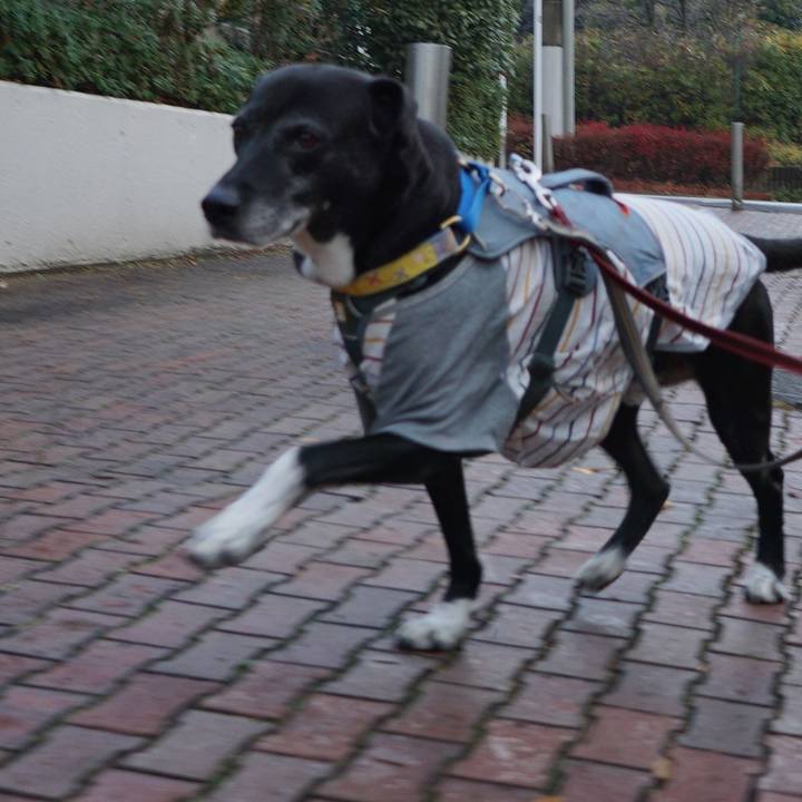 Fd7247f2 0be8 4c47 9932 30c35fc847ec 1766273905076