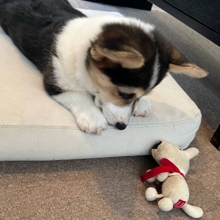 Fd72e450 c71c 468f bfab 9446cf4967a6 1771291920492