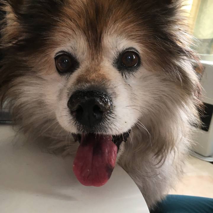 Fd72f8d7 e609 4a73 95f0 d41bf9fd55f5 1591565489334