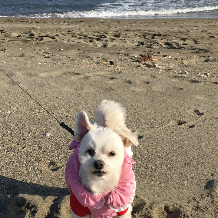 Fd733f72 13c0 4de5 82ae 301d5d77dc79 1516428858927