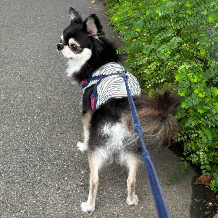 Fd7362ae dbc8 42ac 999e 505244230b7d 1724293795093