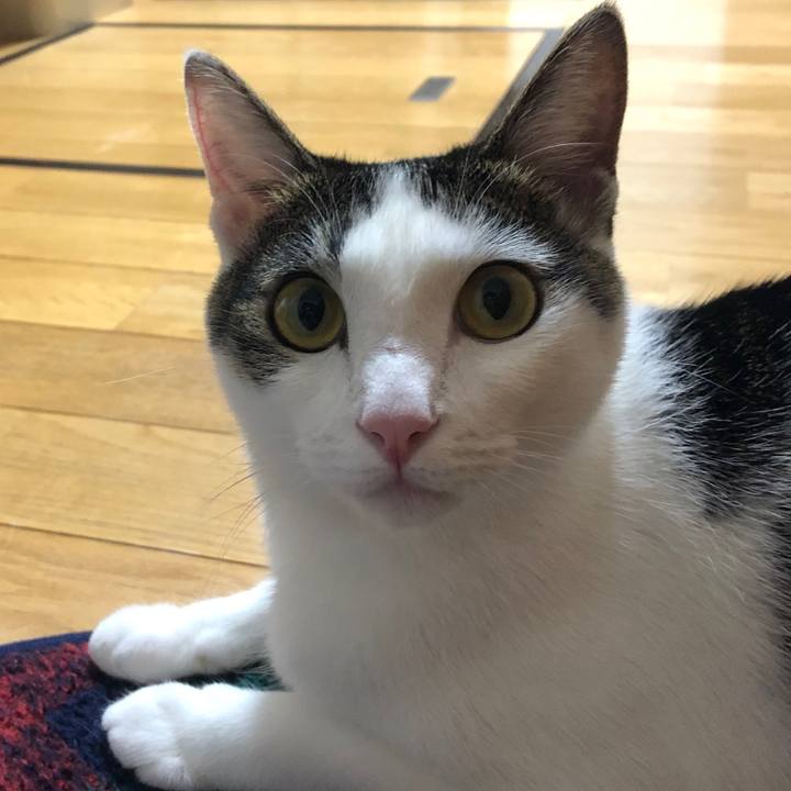 Fd737623 4ed0 4505 8791 30e987bf614f 1598703290126