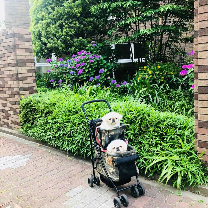 Fd73b1dc f5c7 4d7f 8f32 47859eee7cd8 1591737084891