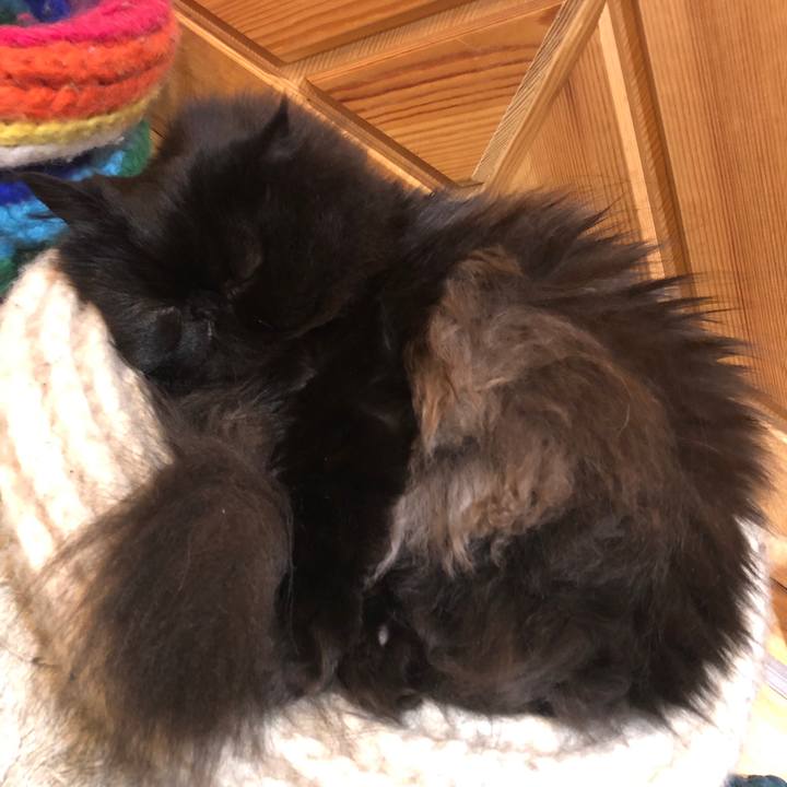 Fd73b34d ea79 4aae 8b7e 694abdb8f6d0 1584171943955