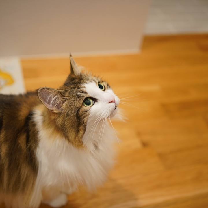 Fd73c1aa 061e 441f 9b53 7fabdb6a8e47 1655729286127