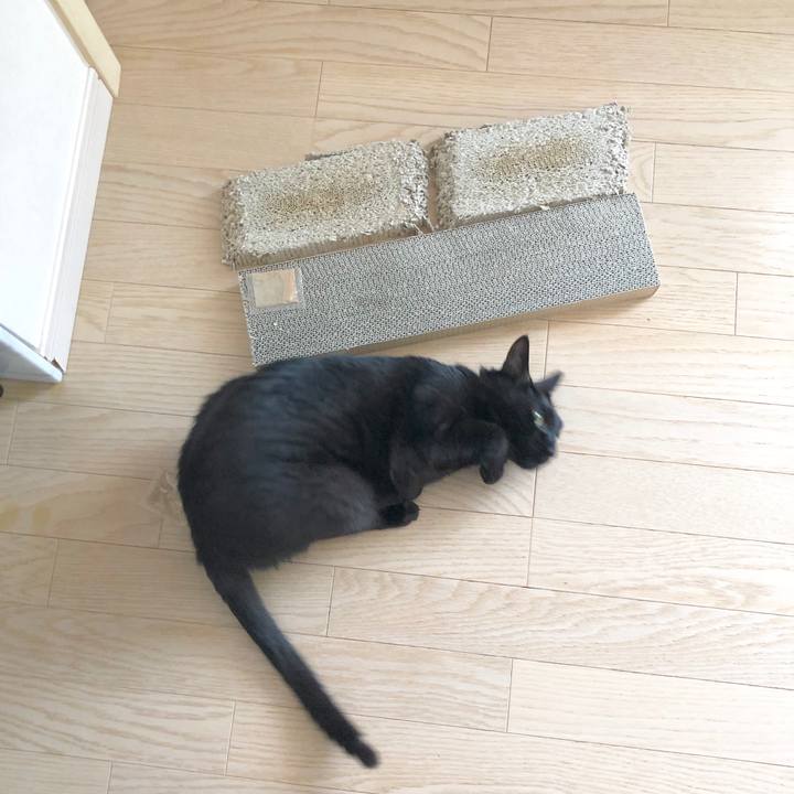 Fd73d0ed 9755 4457 a10c b3315a71886f 1596327586686