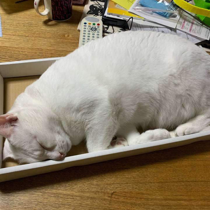 Fd740ca8 22cd 43df 814e 5632824e0445 1593011754733