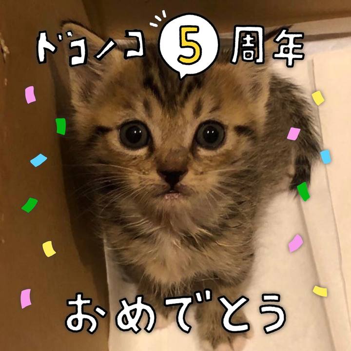 Fd7465da 4fb5 4d80 95c2 9bf73b40b2d0 1622874466358