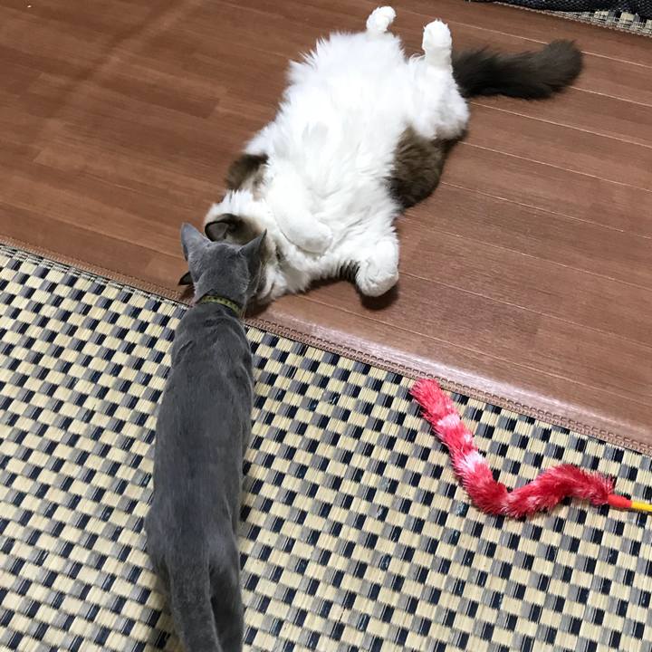 Fd74945c f221 4fc2 bad8 f11927434b34 1511739905740