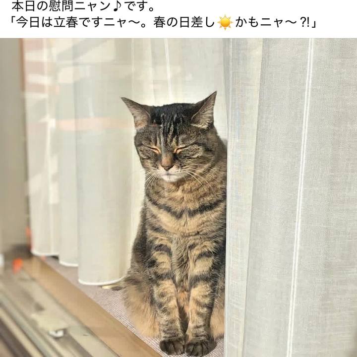 Fd7501ed 17f1 433f be7a 433d3147a561 1770111634385