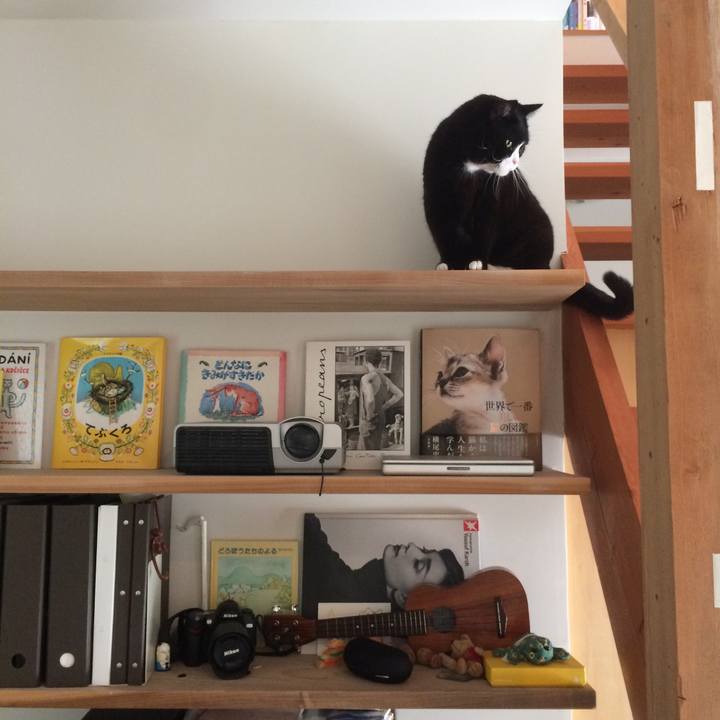 Fd75048b 9bda 463d bd2c e0a5067db175 1526430338063